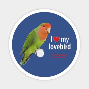 CB Lovebird 4 Magnet